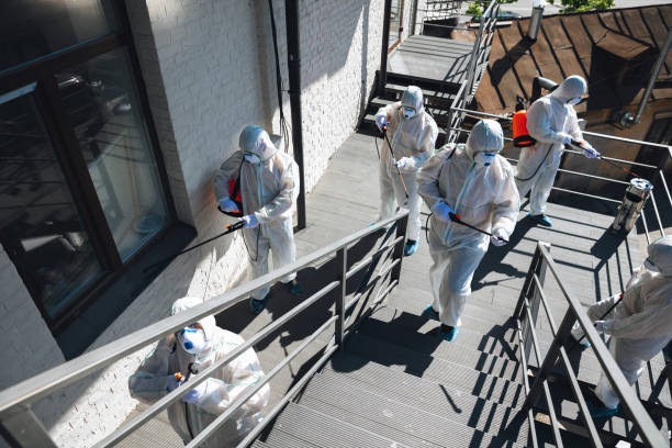 Mold Removal for HVAC Installations in Chapel Hill, NC